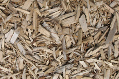 biomass boilers Horsell Birch